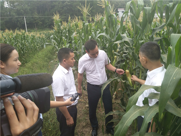 種植基地丨食堂承包公司