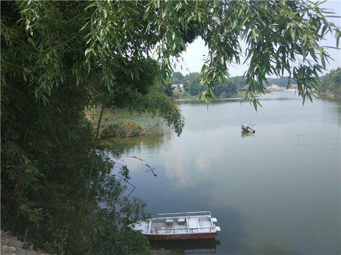 養殖基地丨食堂承包公司